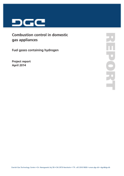 Combustion control in domestic gas appliances