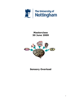 Masterclass 30 June 2009 Sensory Overload