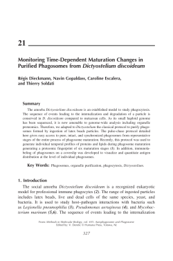 Monitoring Time-Dependent Maturation Changes in Purified