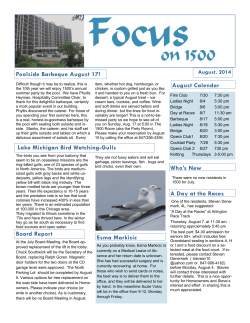 Board Report Lake Michigan Bird Watching-Gulls August