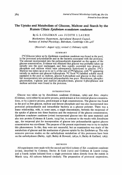 The Uptake and Metabolism of Glucose, Maltose and