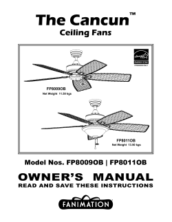The Cancun&trade; Ceiling Fans