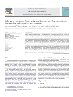 Influence of environment factors on bacterial ingestion rate of the