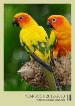 a downloadable version. - Wildlife Reserves Singapore