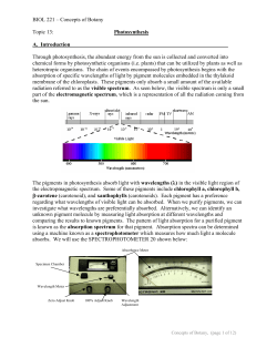 BIOL 221 &ndash; Concepts of Botany Topic 13: Photosynthesis