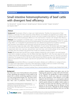 Small intestine histomorphometry of beef cattle with divergent feed