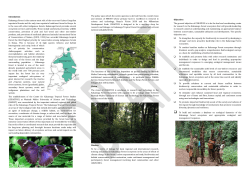 Introduction Kakamega Forest is the eastern