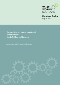 Literature Review August 2015 Perspectives on Improvement and