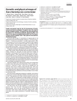 Genetic and physical maps. - Saccharomyces Genome Database