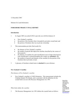 Foreshore final report 2003