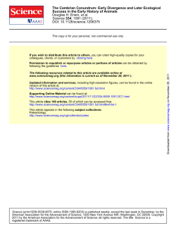 The Cambrian Conundrum: Early Divergence and Later Ecological