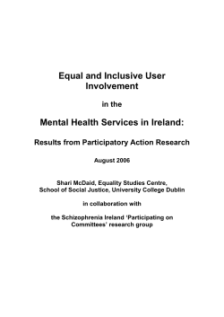Equal and Inclusive User Involvement Mental Health Services in