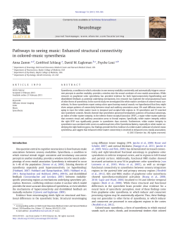 Pathways to seeing music
