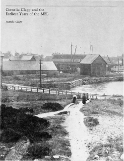 Cornelia Clapp and the Earliest Years of the MBL