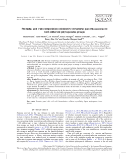 Stomatal cell wall composition: distinctive