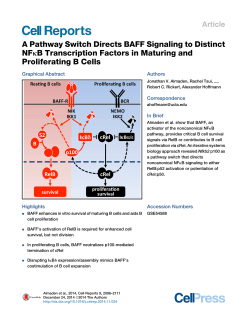 A Pathway Switch Directs BAFF Signaling to Distinct NF&kappa;B