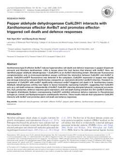 PDF - Oxford Academic - Oxford University Press