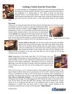 Cooking a Turkey from the Frozen State