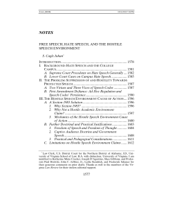 Free Speech, Hate Speech, and the Hostile Speech Environment