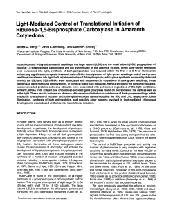 Light-Mediated Control of Translational lnitiation of Ribulose