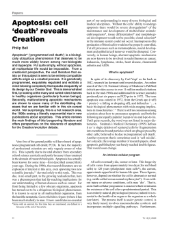 Apoptosis: cell `death` reveals Creation