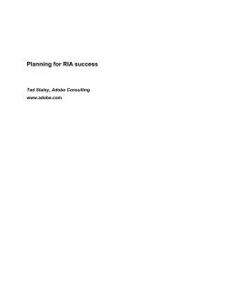 Planning for RIA Success