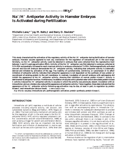 Na+/H+ Antiporter Activity in Hamster Embryos Is Activated during