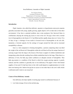 Iron Deficiency Anaemia or Piglet Anaemia