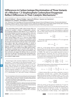 Differences in Carbon Isotope Discrimination of Three