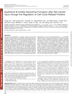 Epothilone B Inhibits Neointimal Formation after Rat Carotid Injury