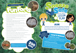 1891-3707 Falcon Lesson Plan v2