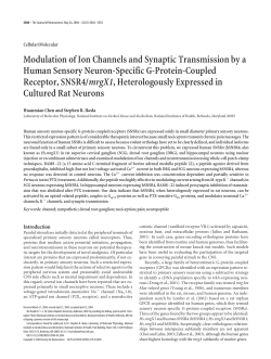 Modulation of Ion Channels and Synaptic Transmission by a Human