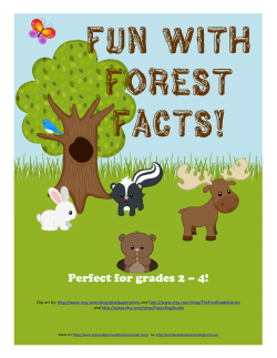 Fun With Forest Facts Pack
