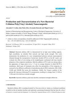 Production and Characterization of a New Bacterial Cellulose/Poly