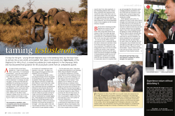 taming testosterone - Elephants For Africa