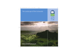 The Landscape of the Cotswolds