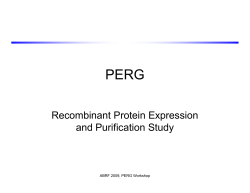 2009 Protein Expression RG ADH Expression Study