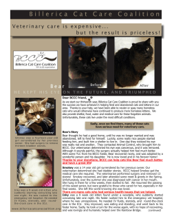 Fall / Winter 2017 - Billerica Cat Care Coalition
