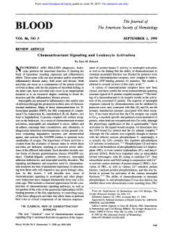 Chemoattractant signaling and leukocyte activation