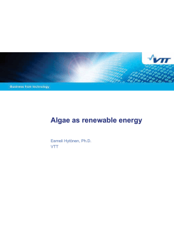 Algae as renewable energy source