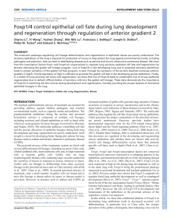 Foxp1/4 control epithelial cell fate during lung development and