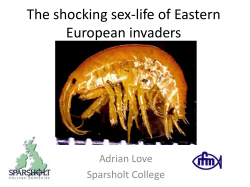 Phenotypic distribution amongst UK amphipods