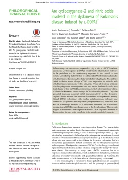 Are cyclooxygenase-2 and nitric oxide involved in the dyskinesia of