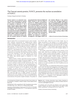 The Fanconi anemia protein, FANCE, promotes the