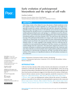 Early evolution of polyisoprenol biosynthesis and the origin of cell