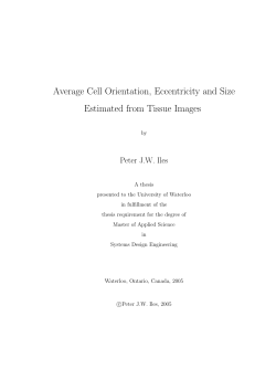 Average Cell Orientation, Eccentricity, and Size from Tissue Images