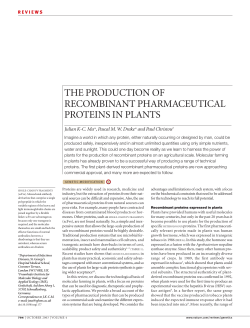 the production of recombinant pharmaceutical proteins in plants