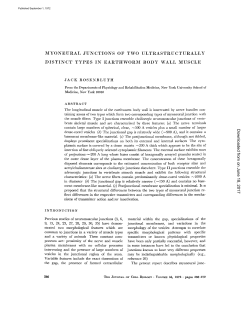 MYONEURAL JUNCTIONS OF TWO ULTRASTRUCTURALLY