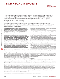 Three-dimensional imaging of the unsectioned adult spinal