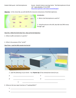 Gel Electrophoresis Virtual Lab.